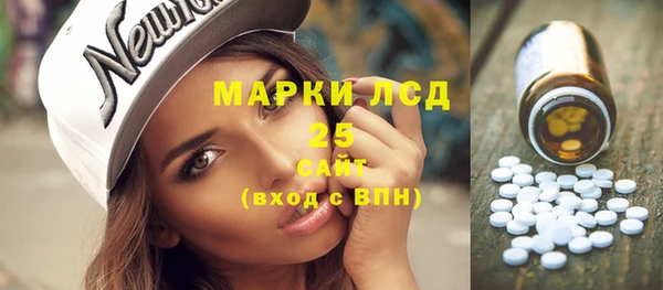 прущий лед Абаза