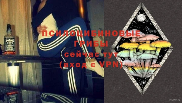 МДПВ Алексеевка