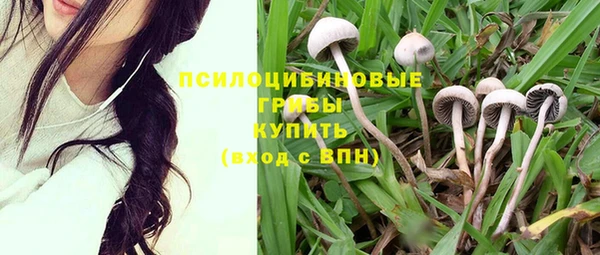 бошки Абинск