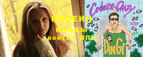 гашик Алзамай